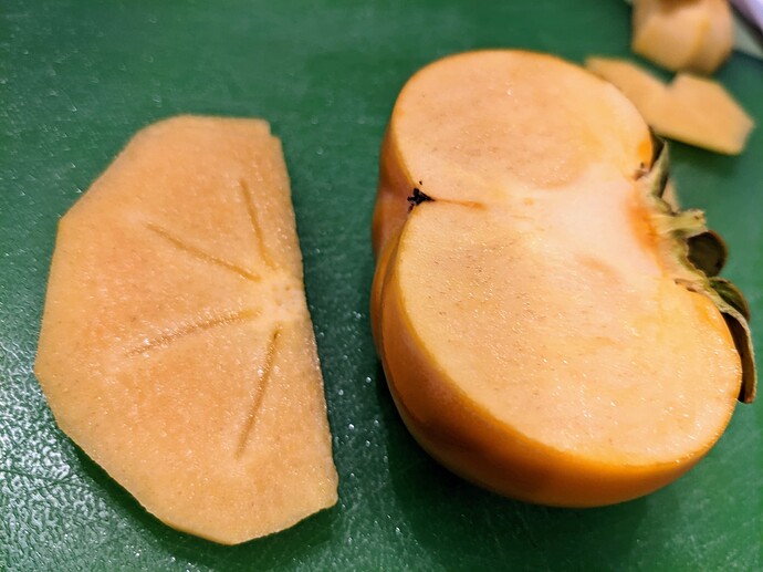 PXL_20221028_204140256~2