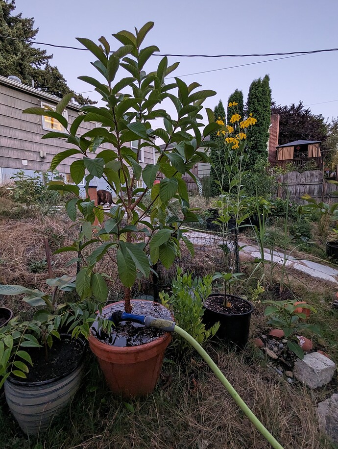 PXL_20230817_033606287