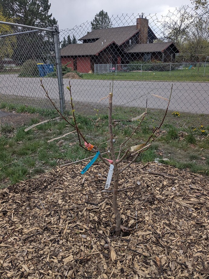 PXL_20250428_001443225