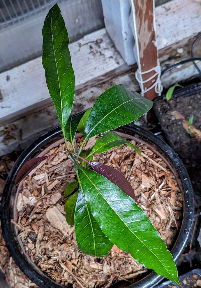 PXL_20240518_053741254~2