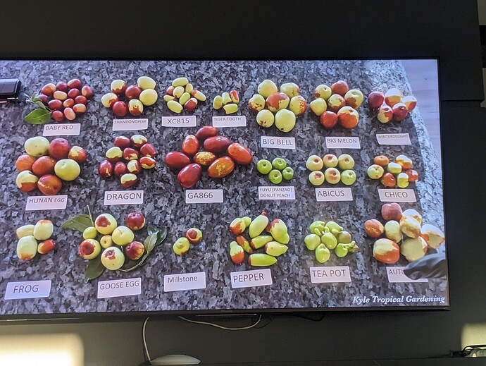 PXL_20240606_112727338