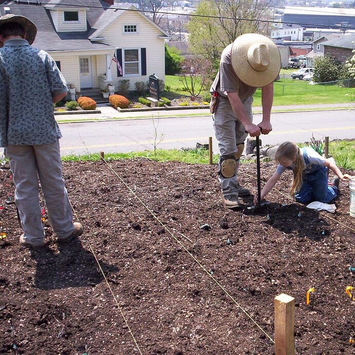 Must have fruit trees for the South General Fruit Growing Growing Fruit