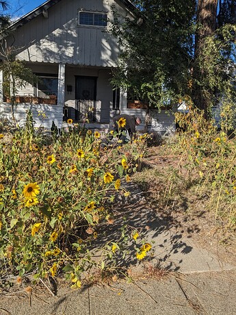 PXL_20241017_222256365