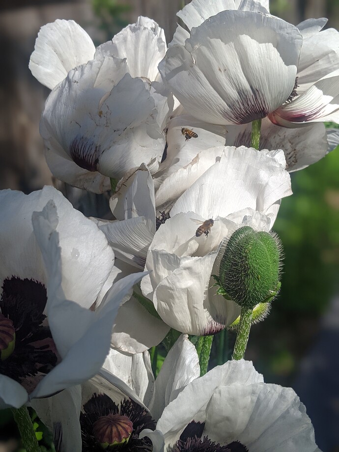 PXL_20220612_165539939.PORTRAIT