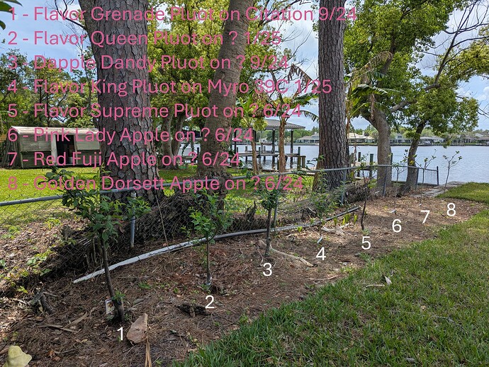 PXL_20250404_173303822