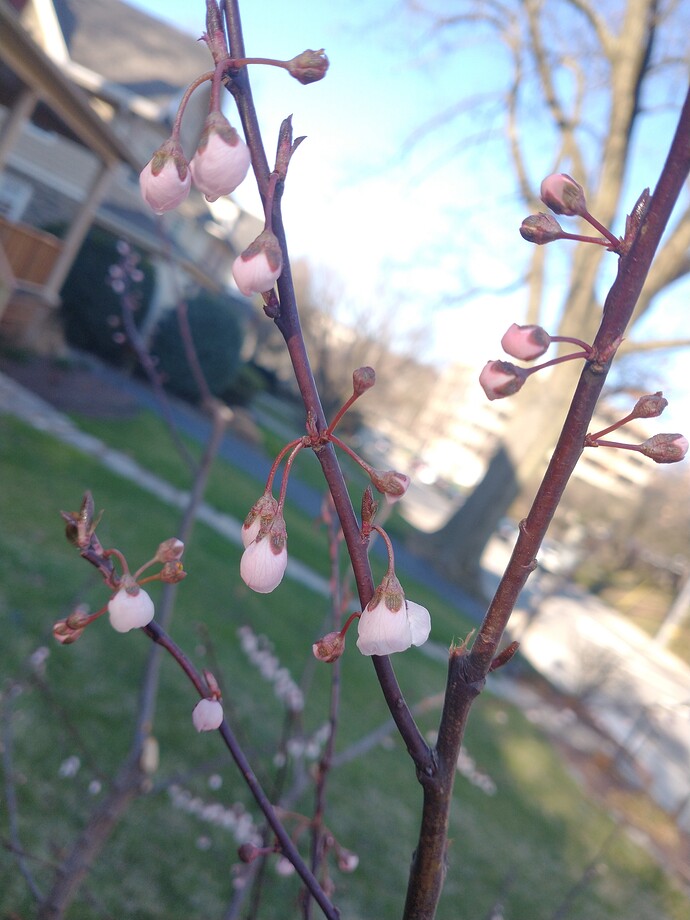 IMG_20220329_083338891