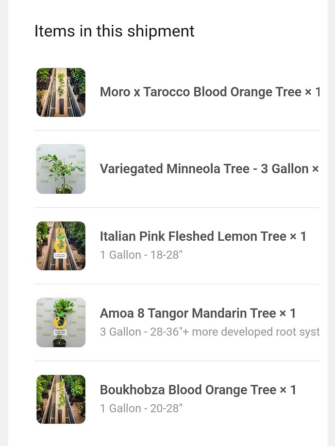 Screenshot_20241028_082355_Chrome