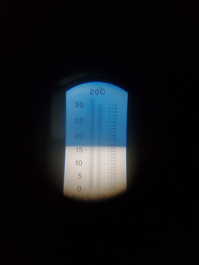 20210808_170255