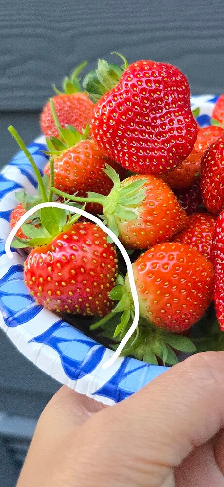 Screenshot_20241013_230020_Gallery