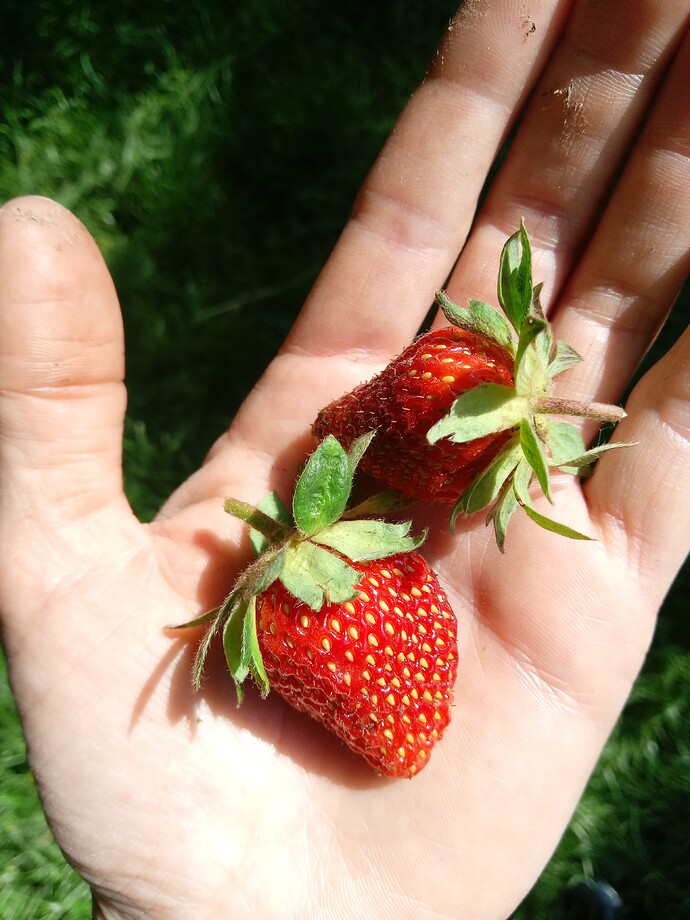 IMG_20240519_095858_338