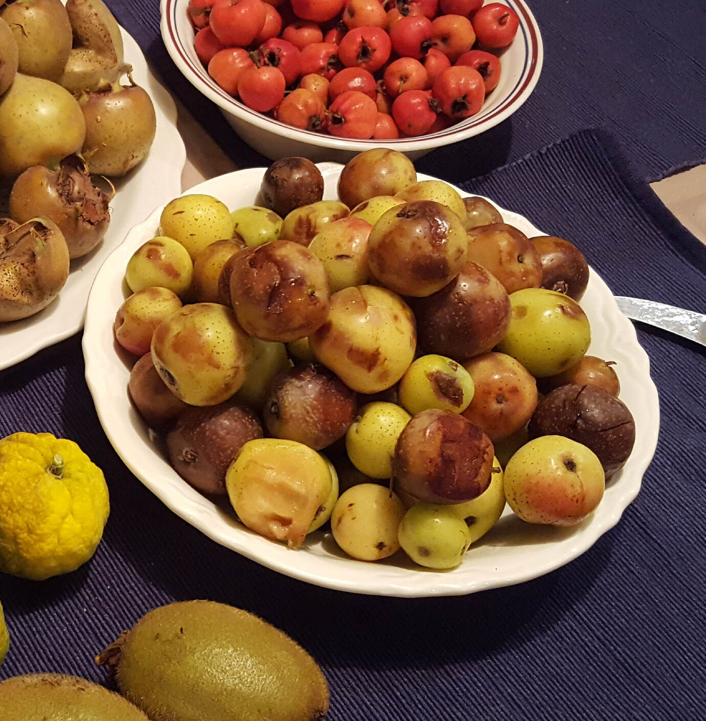 Sorbus domestica - General Fruit Growing - Growing Fruit