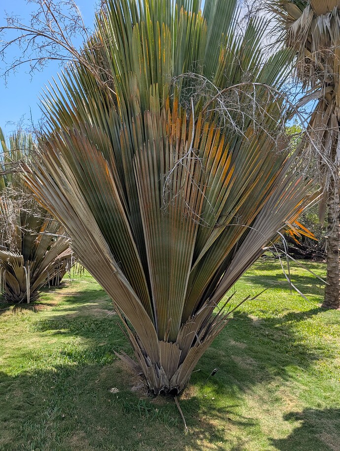 PXL_20250414_152755471