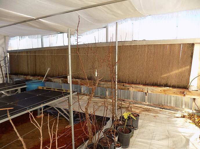 greenhouse dec 7 2019 016