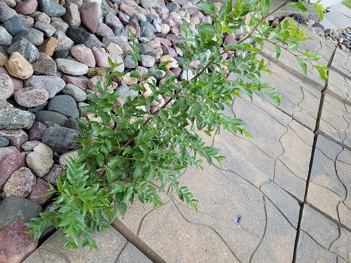 16574157310822861855640889723377