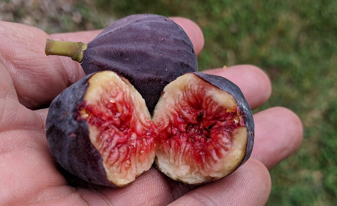 %20Dark%20Greek%2009-23-2019%20B