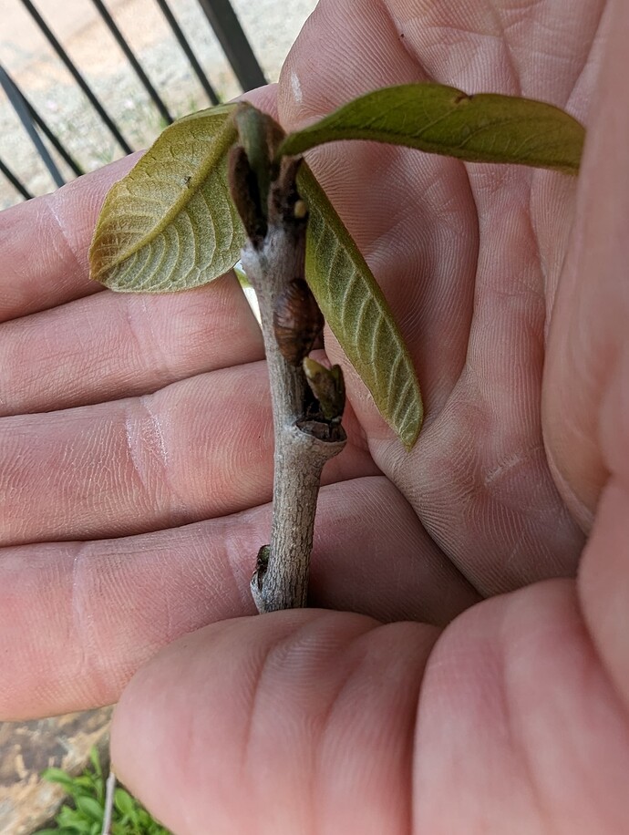 PXL_20230517_230603057