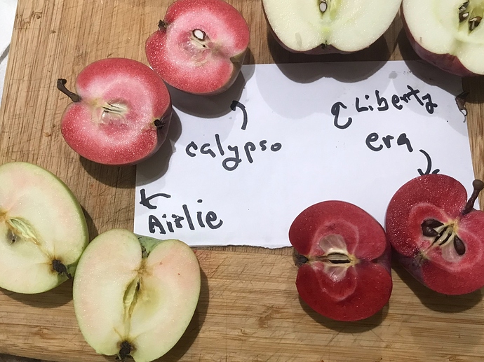 CAFBD75D-2345-4462-9D50-CC4A64D3461F