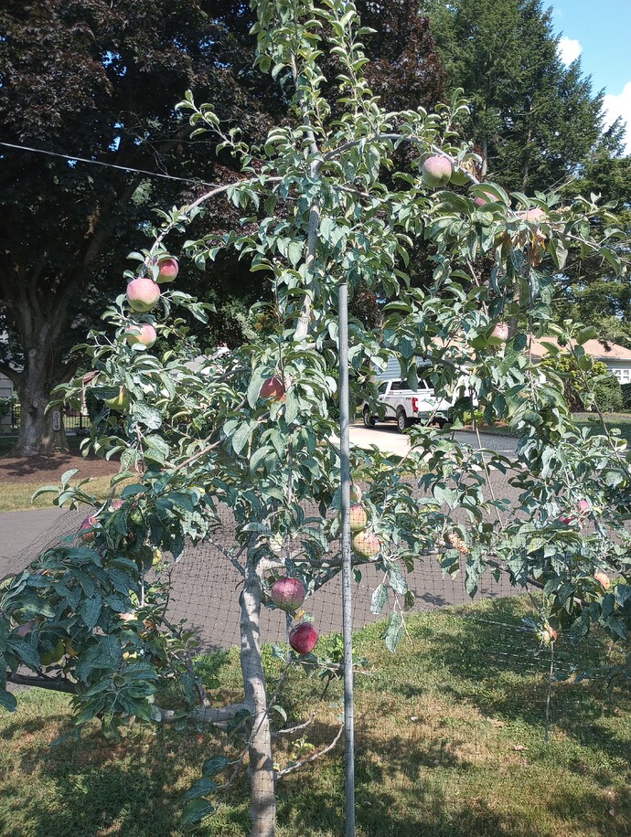 IMG_20220722_160339309