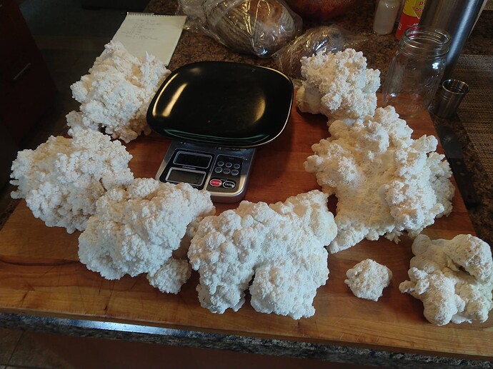 IMG_20190501_120350033