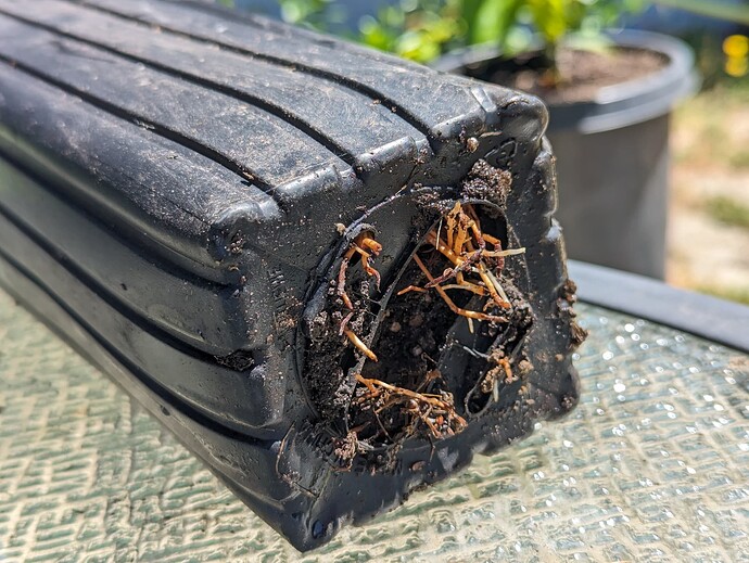 PXL_20230723_200443745