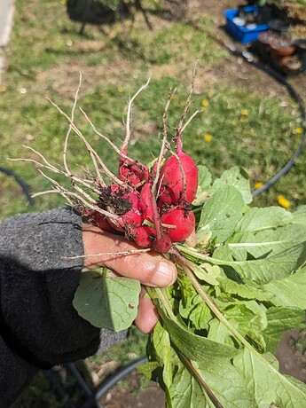 PXL_20240522_190858530