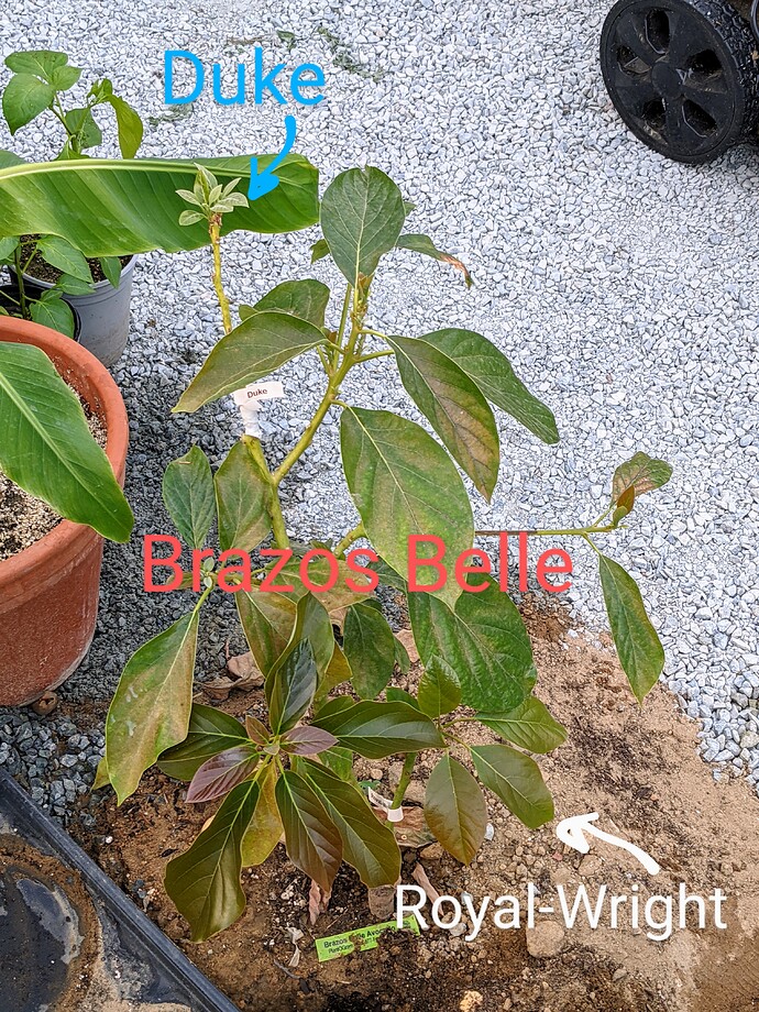 PXL_20210521_032041012~2