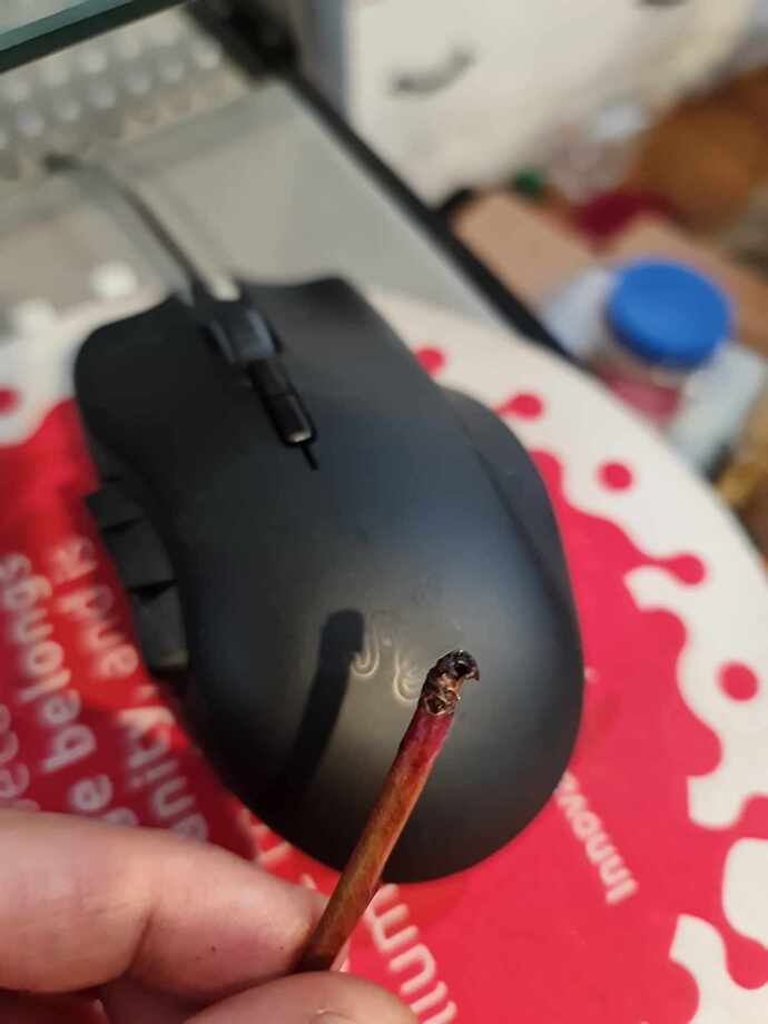 434347602_739290044854050_140546740613707468_n