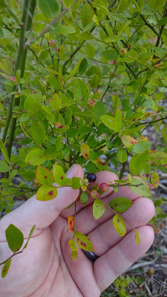 IMG_20250521_183833597