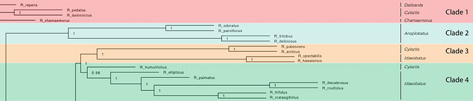 Screenshot%20from%202021-02-01%2020-38-27