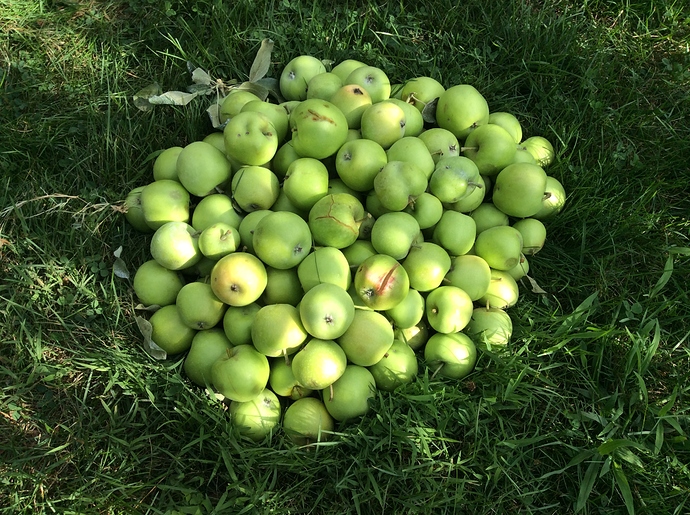 A472CF7F-FA97-4269-BA2B-8F765EA67474