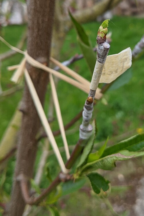 PXL_20210511_174021983.MP