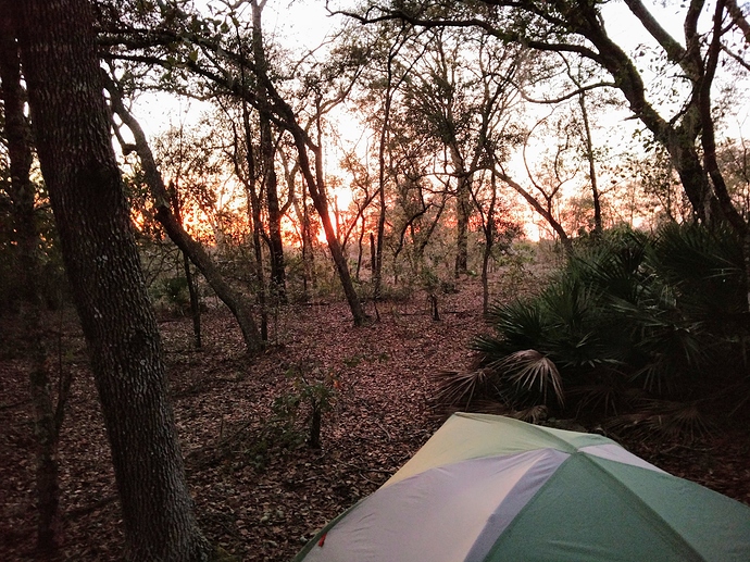 IMG_20190216_183504663%20(1)