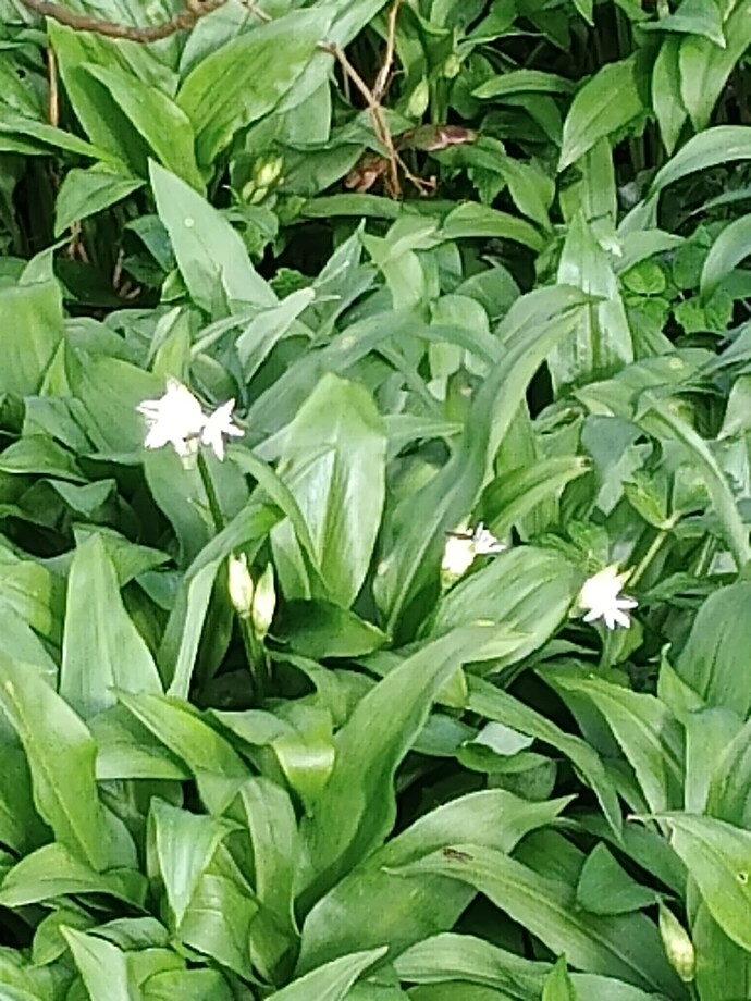 IMG_20240325_160135837