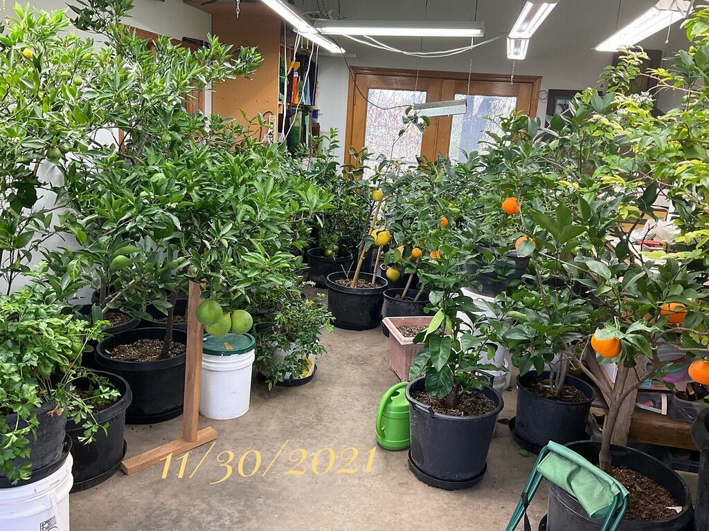 Evaluating 2021 General Fruit Growing Growing Fruit