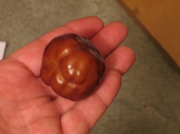 Porterville jujube huge