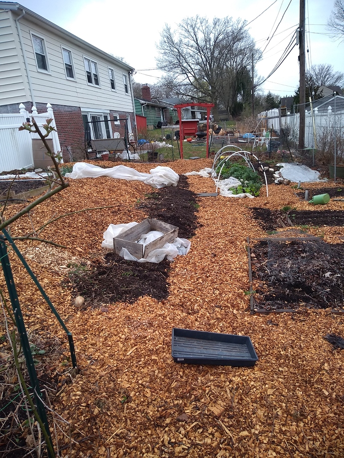 IMG_20190412_180000466