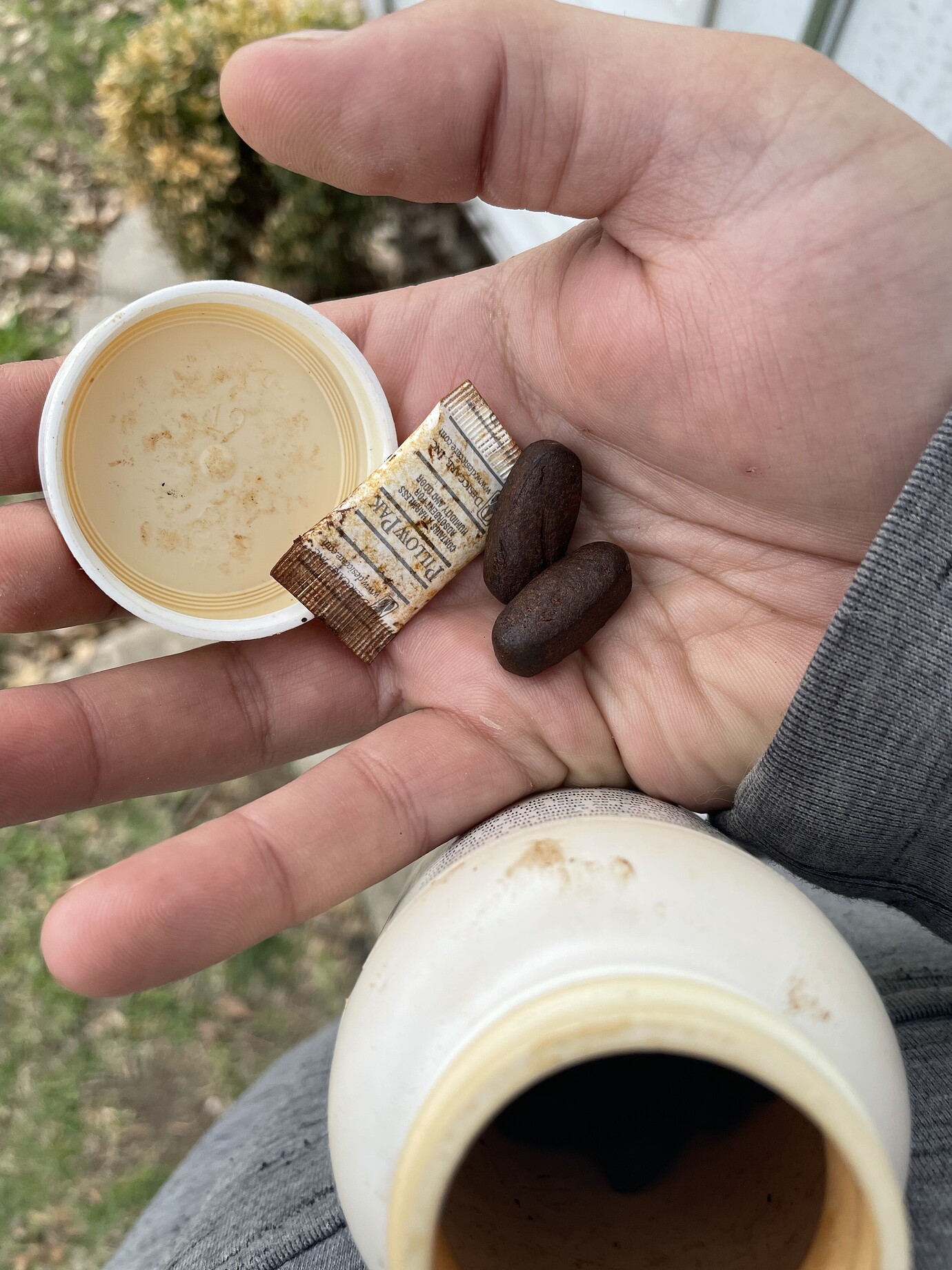 Expired Vitamin B Complex in the garden? General Gardening Growing