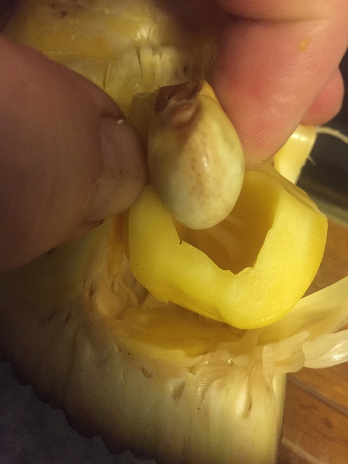 EFDFD055-E59C-464A-B2A5-38782216414A