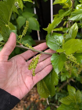 PXL_20250515_200622844