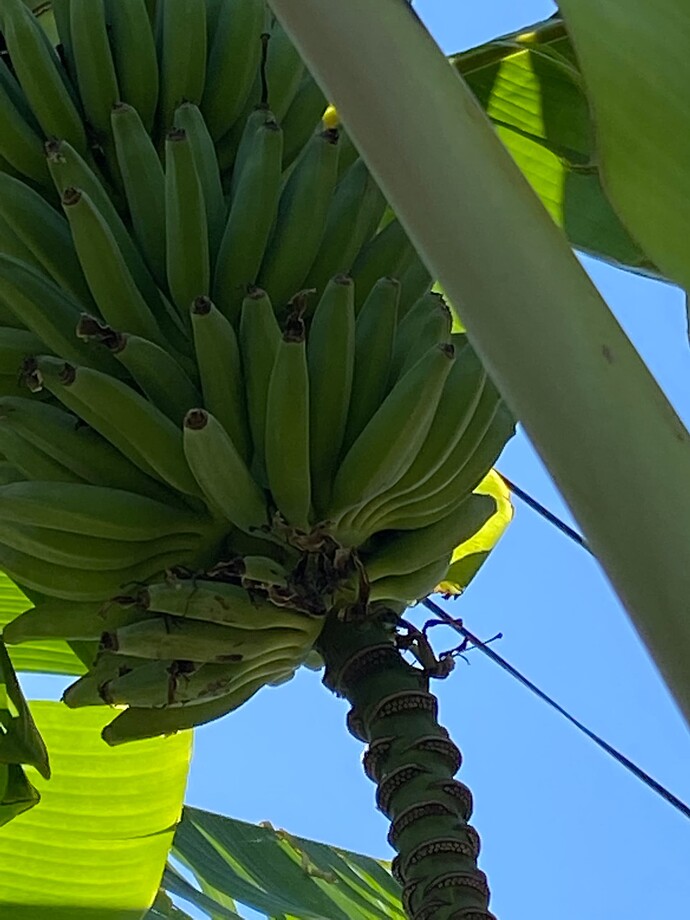 64503990912__0C87F23A-C246-4E8D-8145-B9BE6E3AD8DE