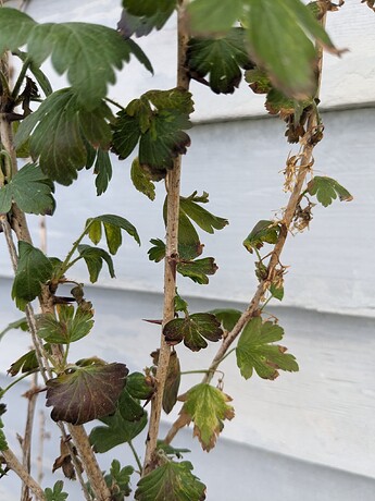 PXL_20240527_200137279