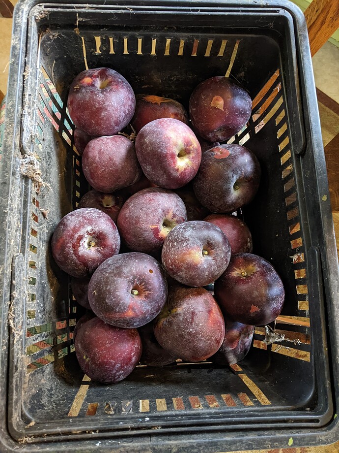 PXL_20231018_173414082