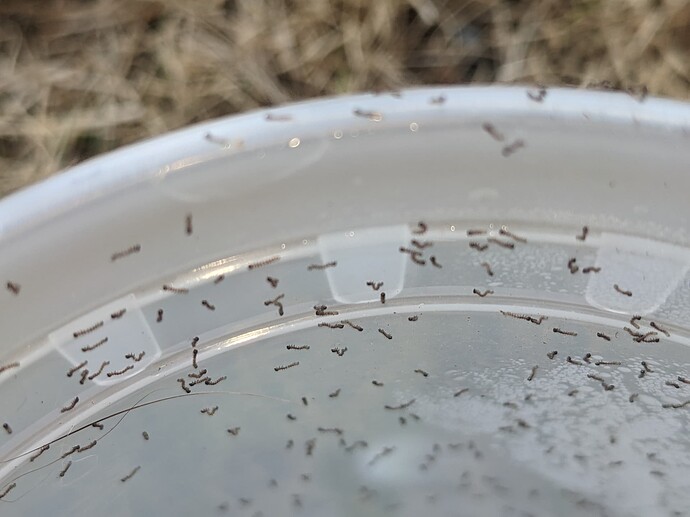 PXL_20220913_001647291