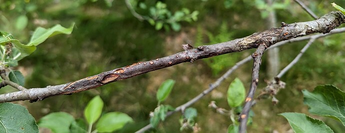 PXL_20240503_165035895