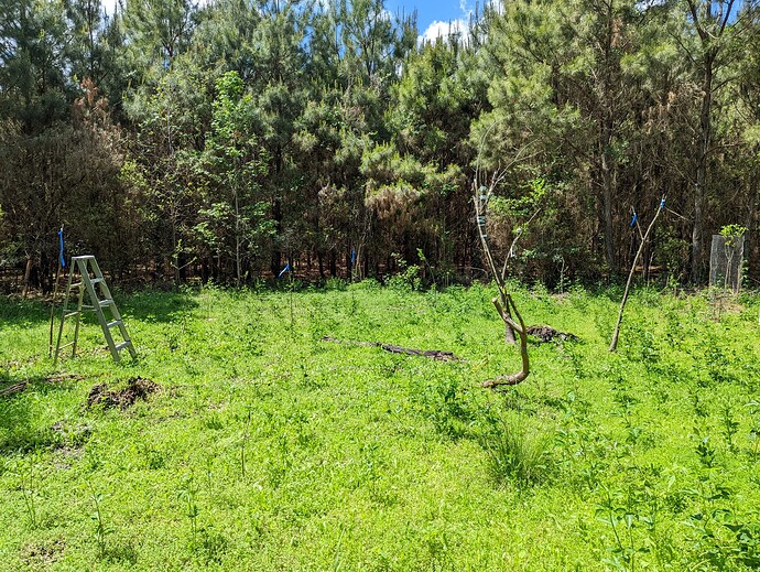 PXL_20230415_182048865