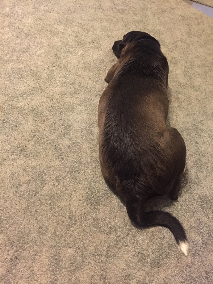 3E2D4B01-A179-468A-B6F1-78925E0F8E30