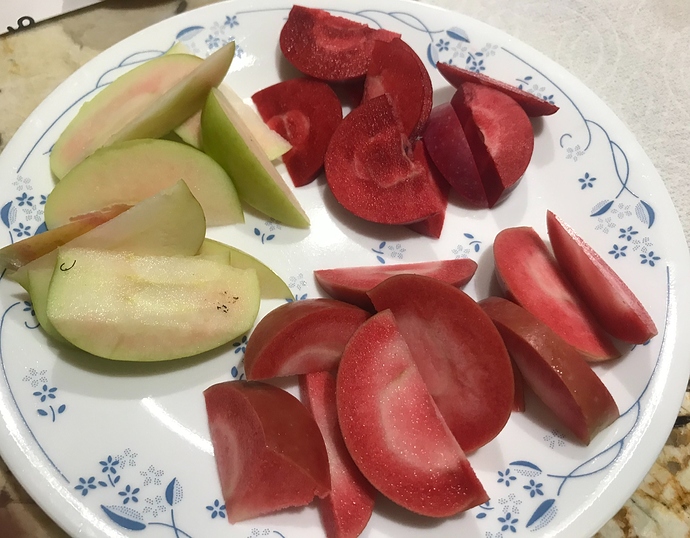 C93E2DF9-B020-422C-B7AB-0761DC1BD7BE