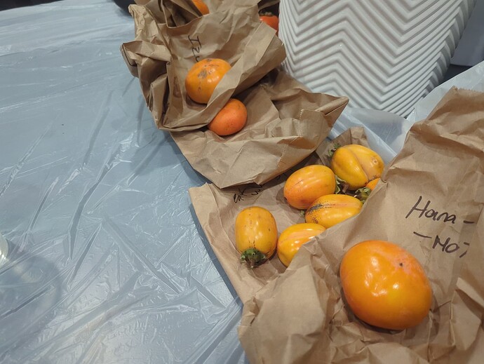 17006097941807382967116078744673