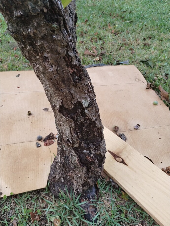 IMG_20250516_072422808