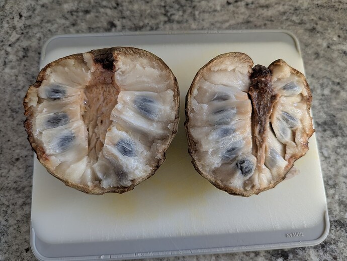 PXL_20250525_130339142